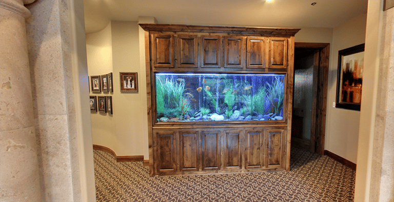 Tranquil lobby fish tank at The Cosmetic Dentists of Austin, part of the spa-like patient experience.